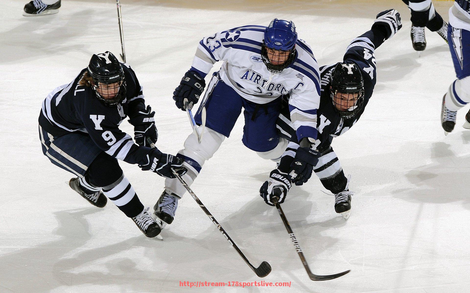 178体育直播-聊城的健身器材会动？智能体育器械市场前景分析